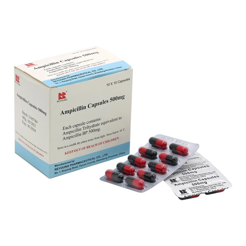 Capsule di ampicillina